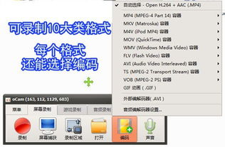 錄屏小將OCam 全能錄屏截圖錄音，專業攝影服務一應俱全